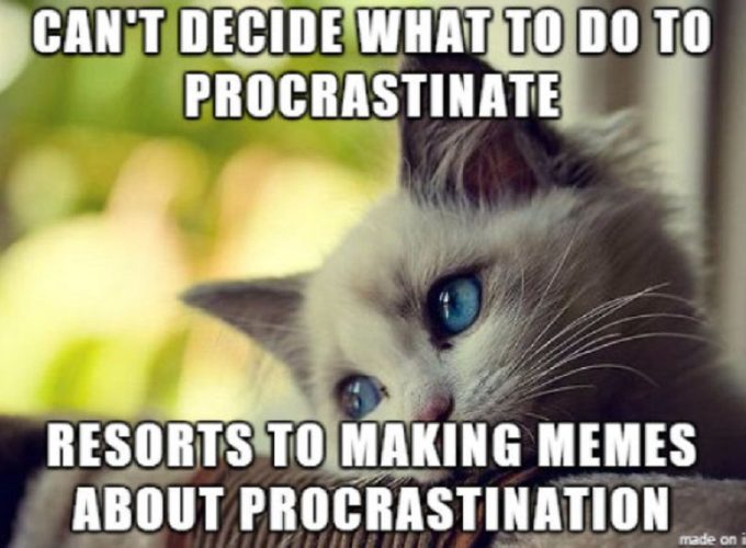 making memes to procrastinate